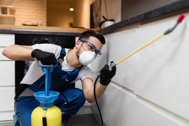 Best Pest Prevention Services  in Stickney, IL