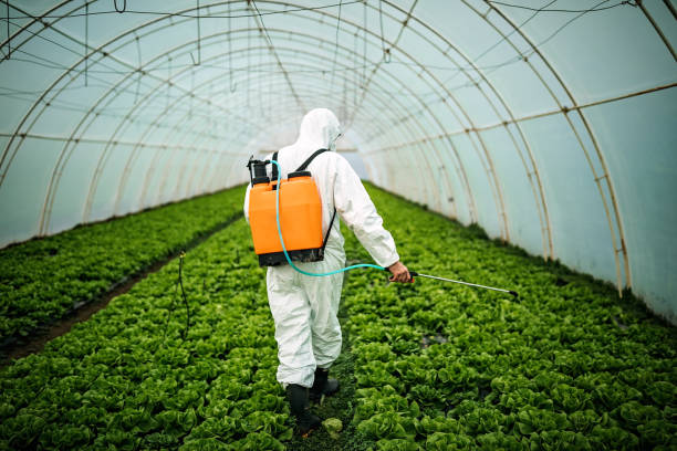 Reliable Stickney, IL Pest Control Solutions