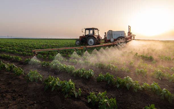Best Best Pest Control Companies  in Stickney, IL