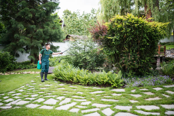 Best Commercial Pest Control Services  in Stickney, IL