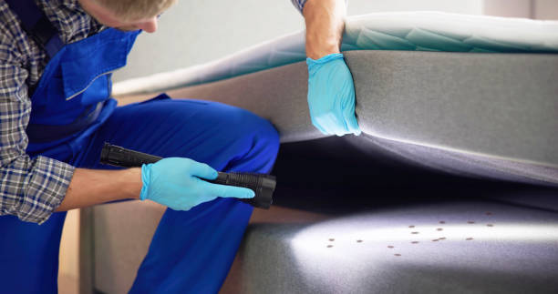 Best Wasp Removal Services  in Stickney, IL
