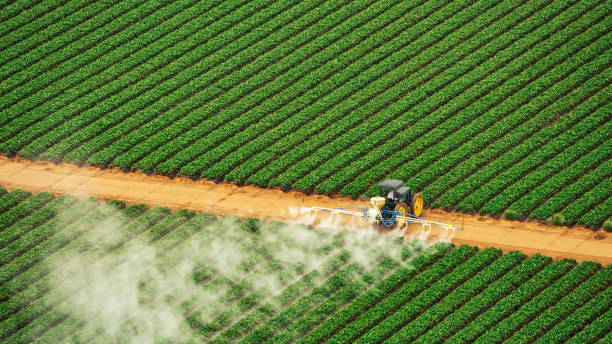 Reliable Stickney, IL Pest Control Solutions