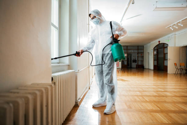 Best Best Pest Control Companies  in Stickney, IL