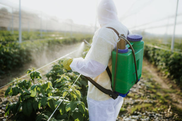 Best Pest Control Cost  in Stickney, IL